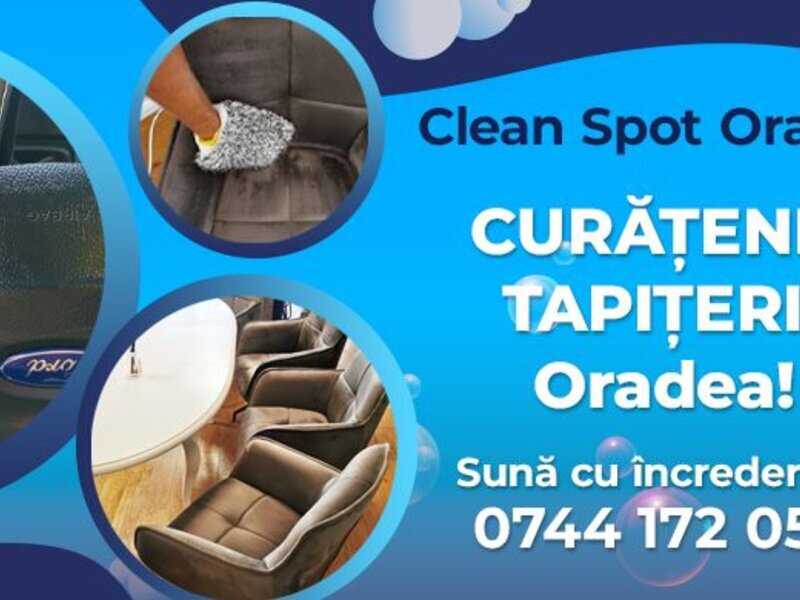 Curatare tapiterie auto la domiciliu in Oradea, Spalare Canapele saltele